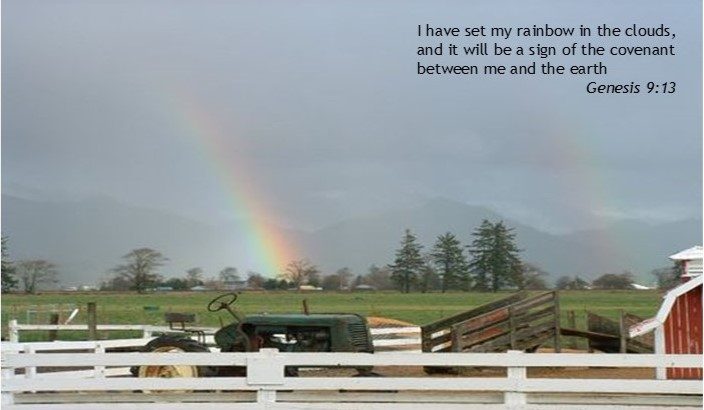 I have set my rainbow in the clouds, and it will be a sign of the covenant between me and the earth.
                          Genesis 9:13